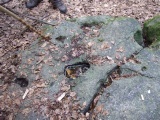 2011- 204.jpg